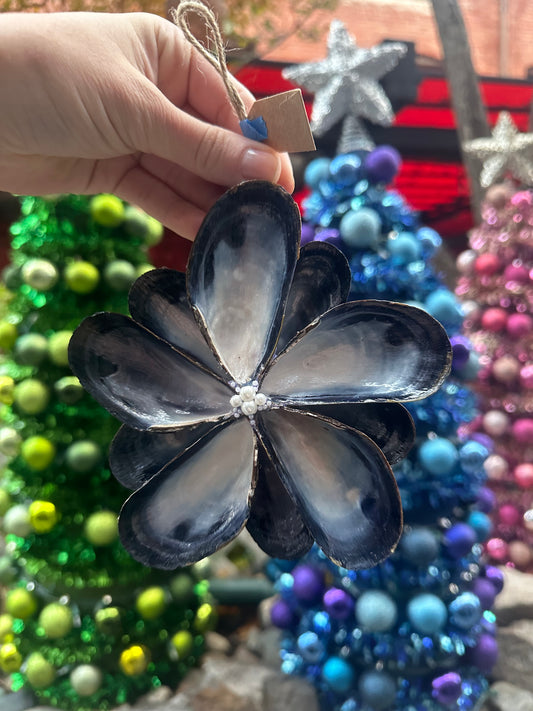 Deluxe Shell Ornament